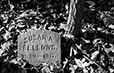 At Rest 13
